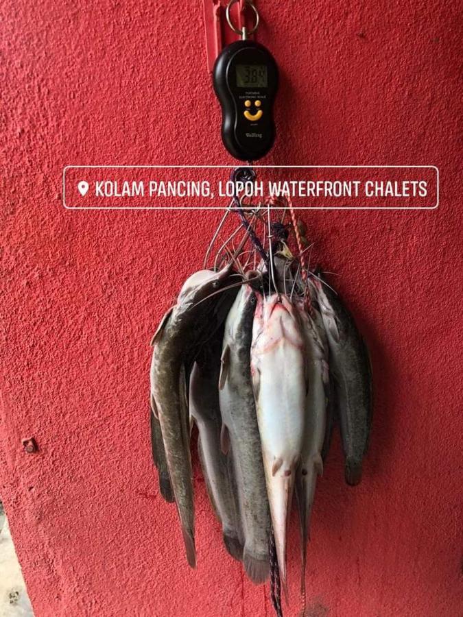 Lopoh Waterfront Budget Chalets Villa Hulu Langat Esterno foto