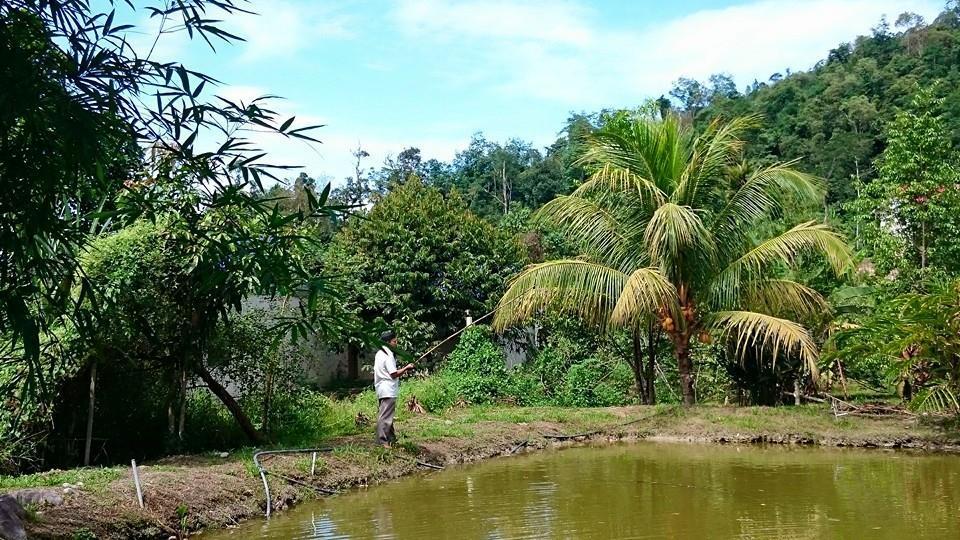 Lopoh Waterfront Budget Chalets Villa Hulu Langat Esterno foto